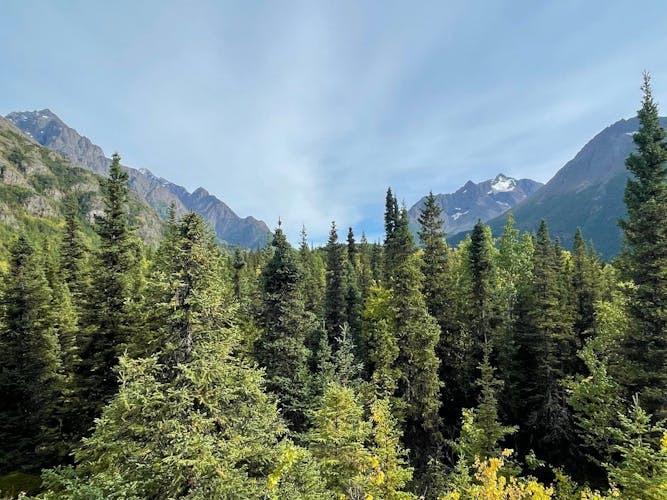 Chugach State Park summer valley and forest hike