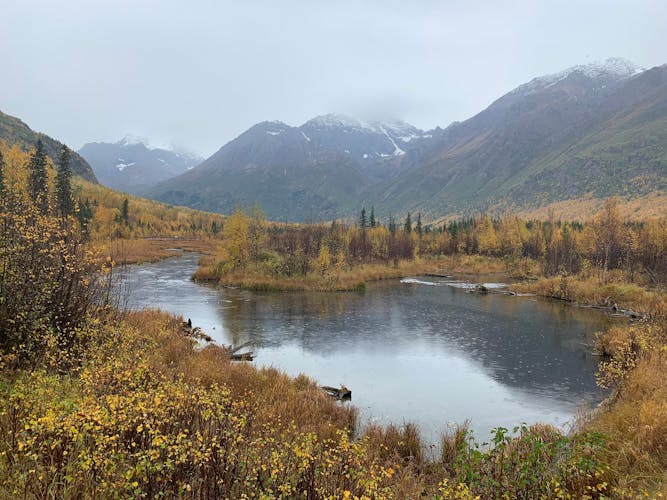 Chugach State Park summer valley and forest hike