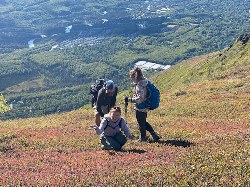 fareharbor-gohikealaska|204114-662782