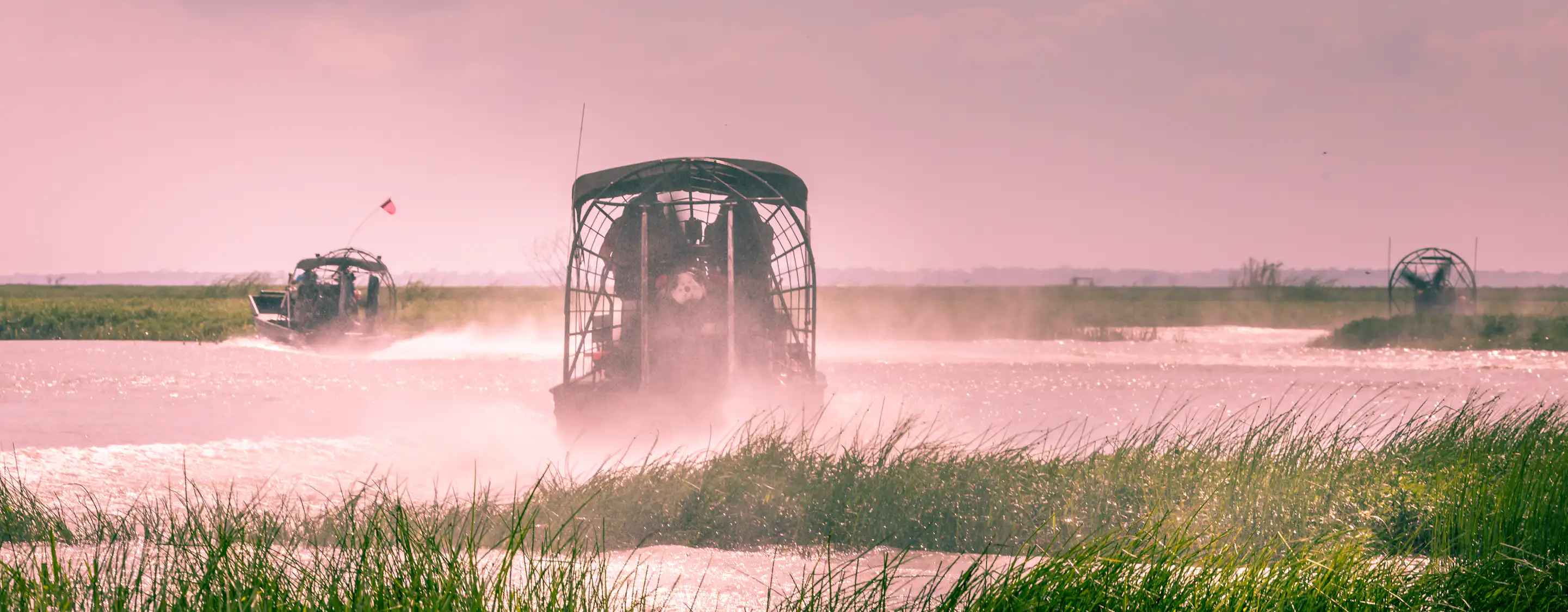 Wild Florida Airboats and Gator Park