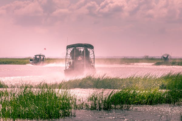 Wild Florida Airboats and Gator Park
