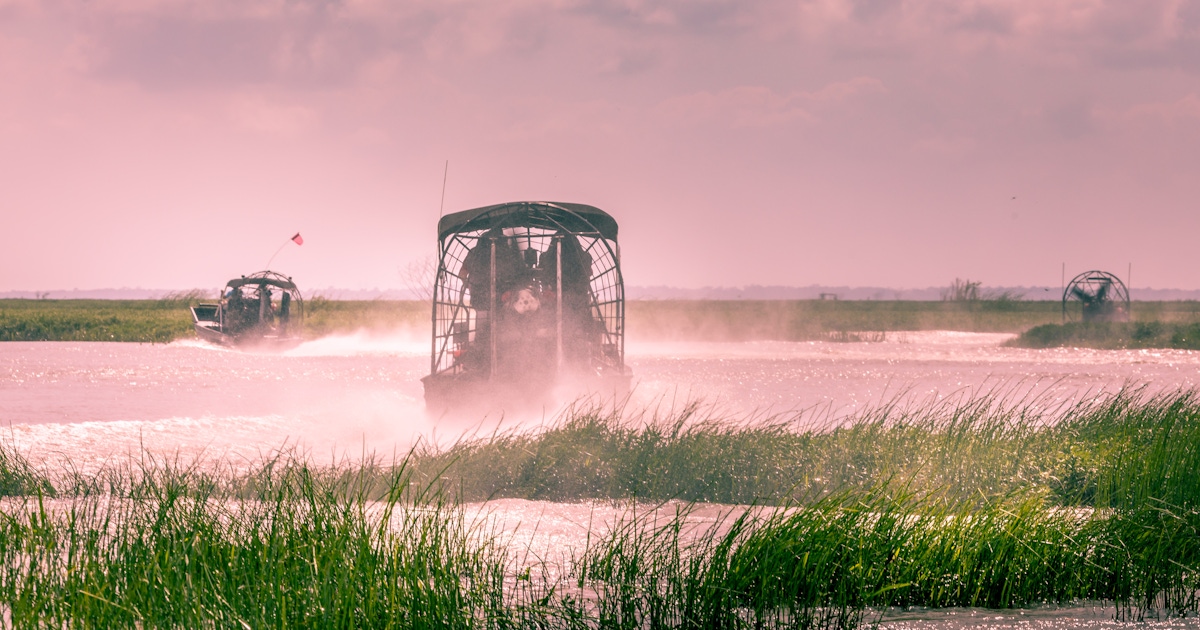 Wild Florida Airboats and Gator Park Wild Florida Airboats and Gator Park