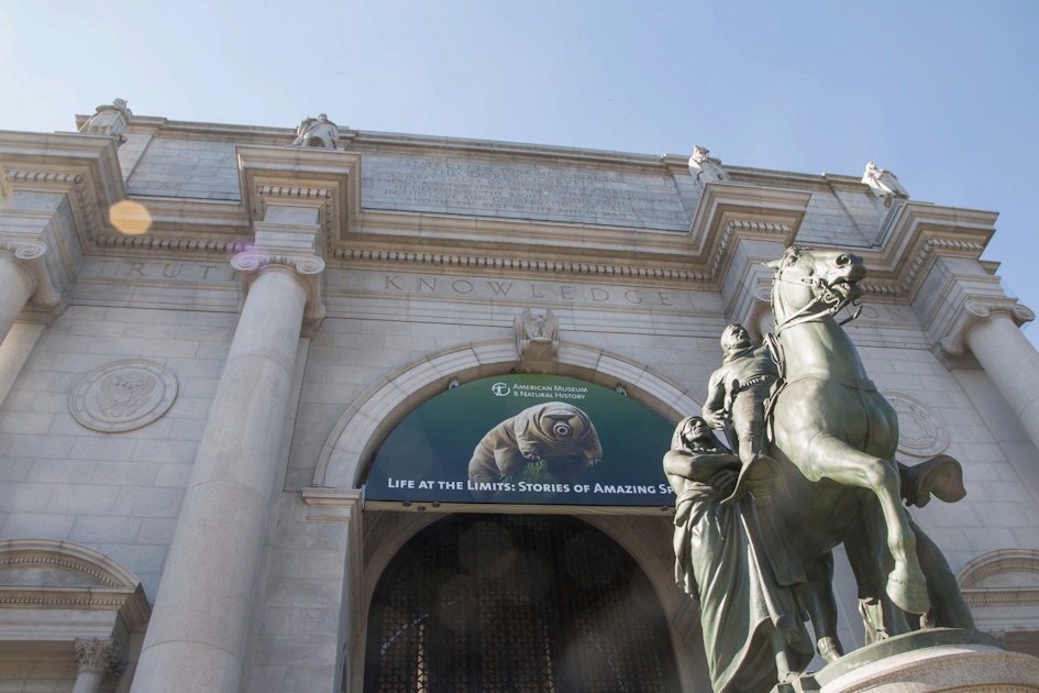American Museum of Natural History Tickets and Tours in New York musement