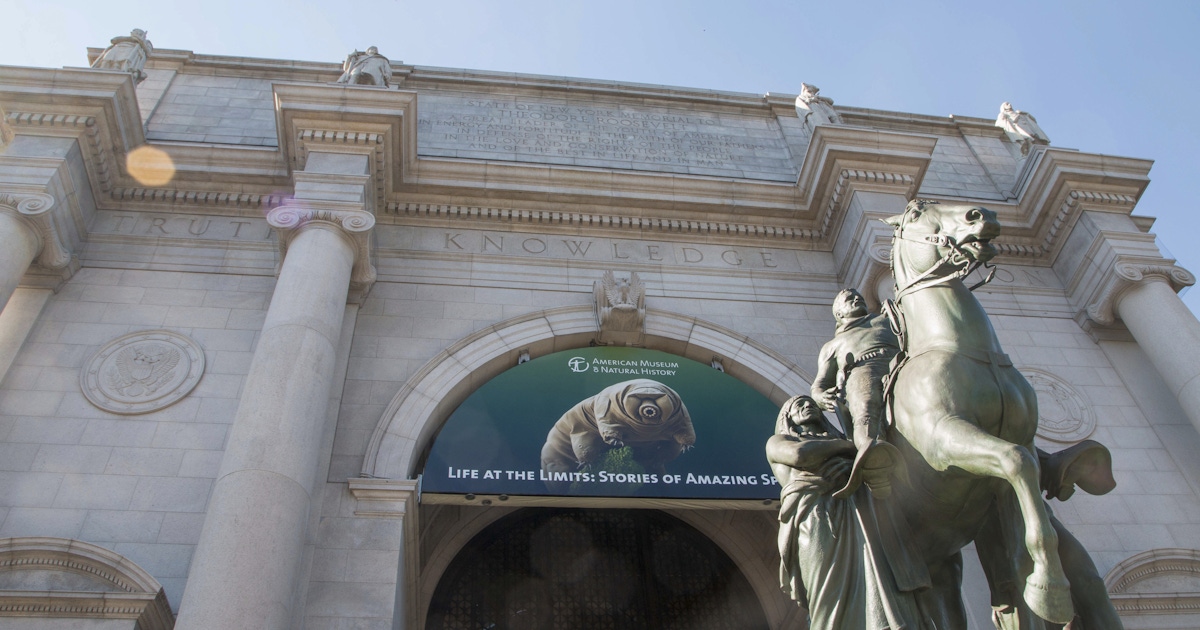 American Museum of Natural History Tickets and Tours in New York  musement