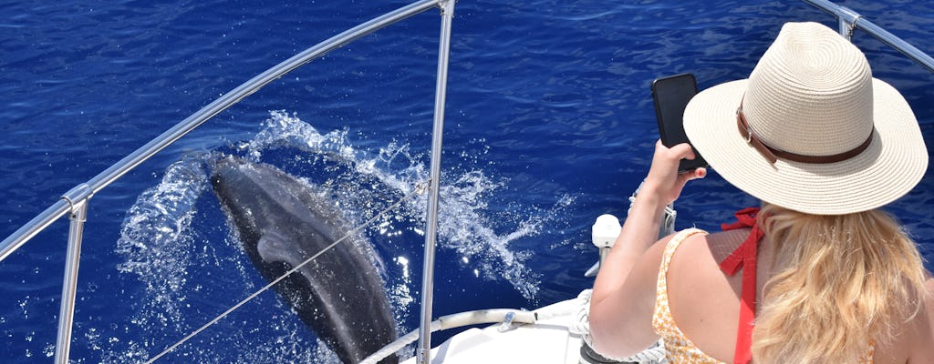 Excursion en bateau pour observer les baleines et les dauphins