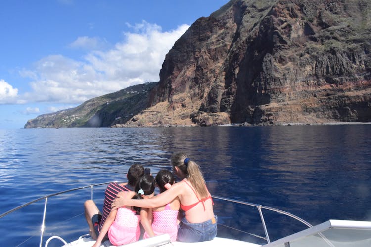 Whale and dolphin watching private tour