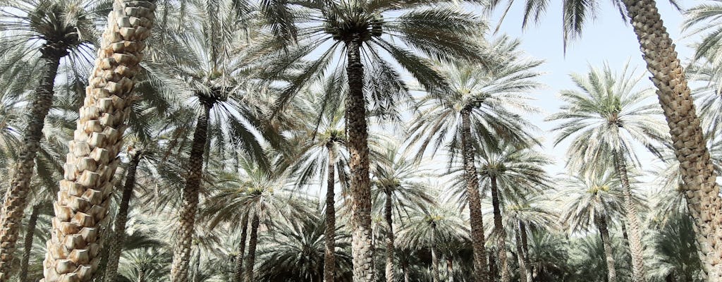 Privétour naar Al Hajar-dorpen en naar de Al Hoota-grot vanuit Muscat met lunch