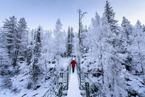 Entradas y visitas guiadas para Kuusamo