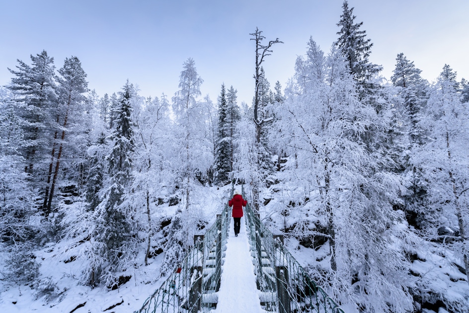 Things to do in Kuusamo Tours and attractions  musement
