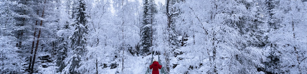 Qué hacer en Kuusamo: actividades y visitas guiadas