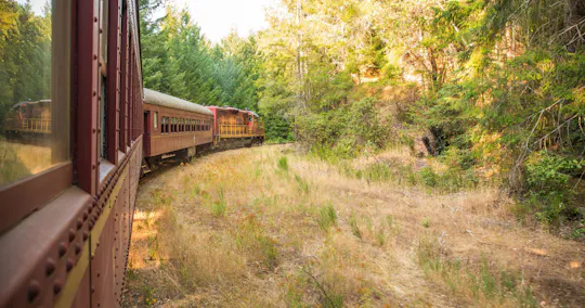 Willits Wolf Tree Turn tickets