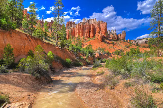 Avventura a cavallo di mezza giornata al Bryce Canyon