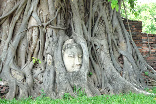 Bang Pa-in and Ayutthaya