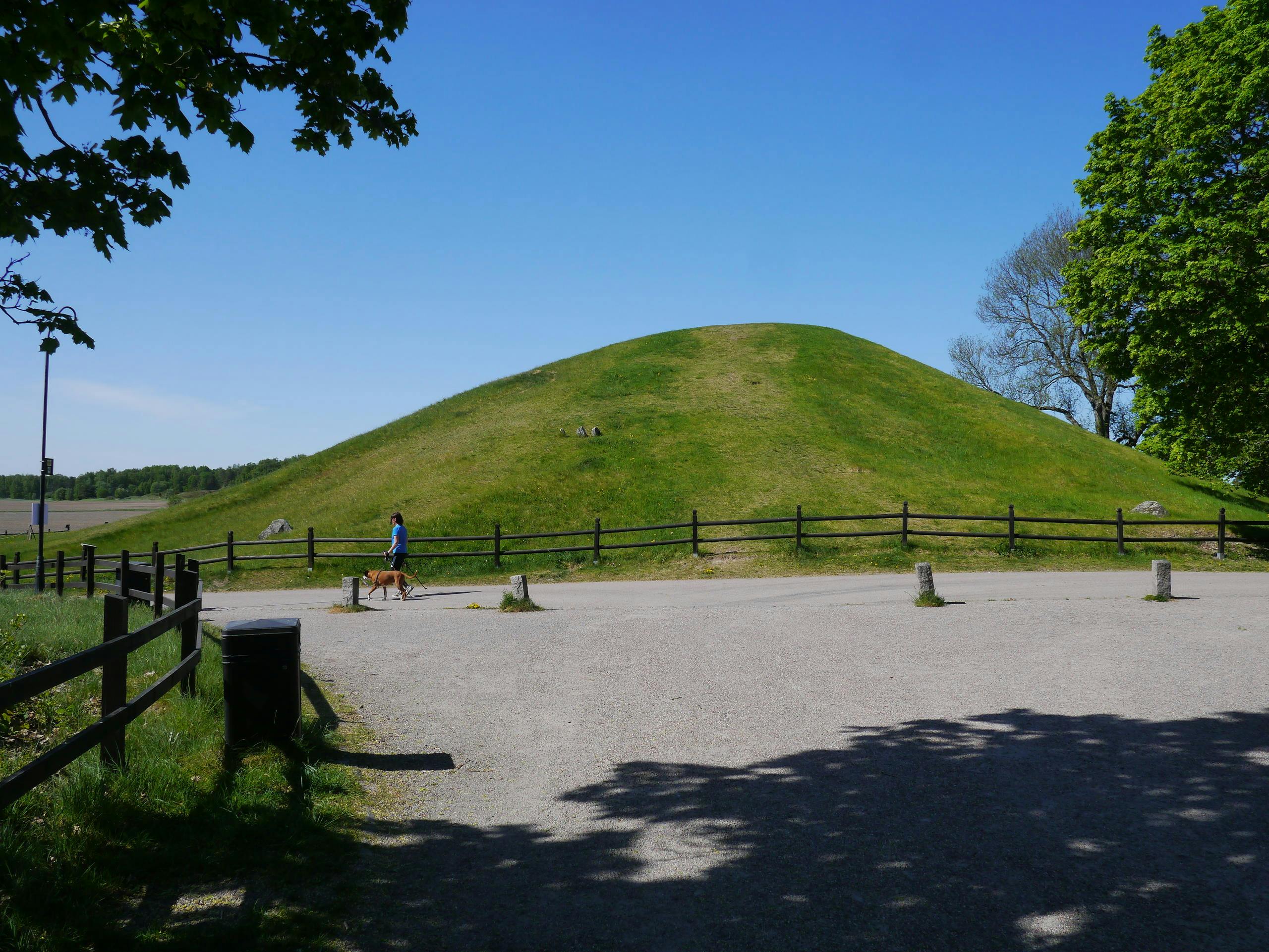 Visite guidée à pied de l'ère viking et vendel dans la ville historique d'Uppsala
