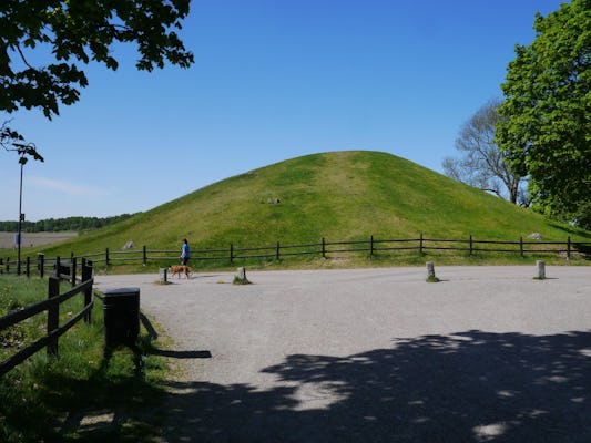 Guided Viking and vendel era walking tour in historic Uppsala