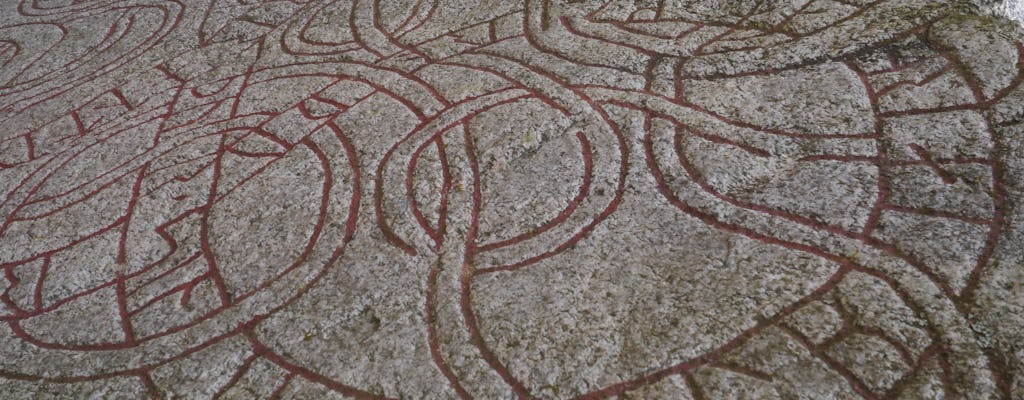 Tour a piedi di Uppsala alle pietre runiche