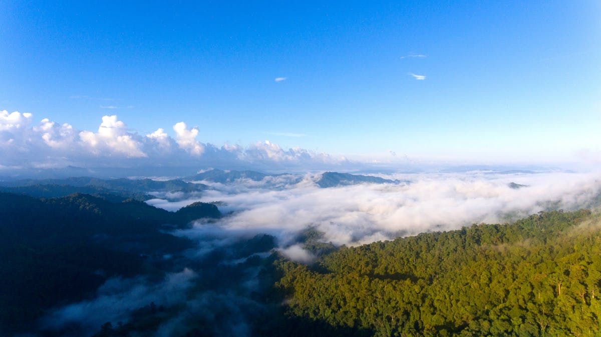 Unseen Khao Sok Eco Tour from Phuket
