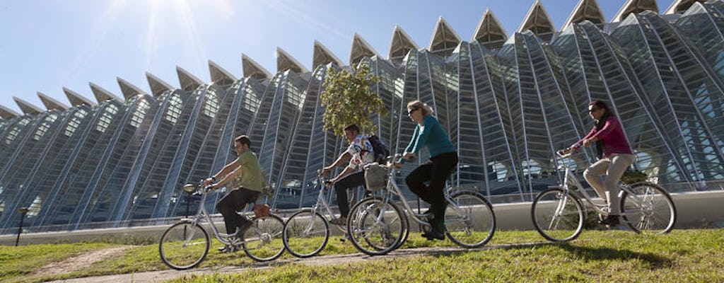 Tour privado de metade de um dia de bicicleta em Valência