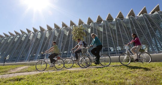 Valencia private half-day bike tour
