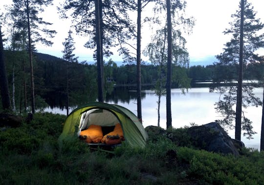 Overnight tour in wolf territory with night in a tent and campfire dinner
