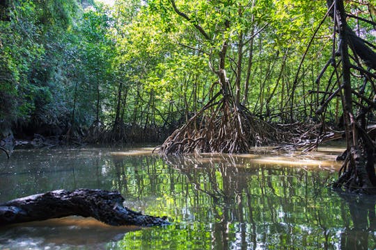 Ko Lanta Island Tour with Longtail Boat Cruise
