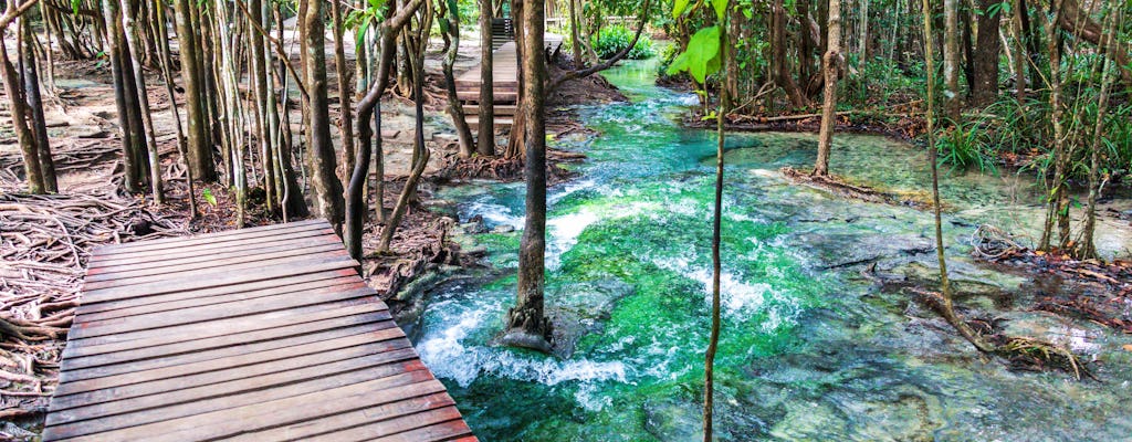 Hot Springs & Emerald Pool Tour