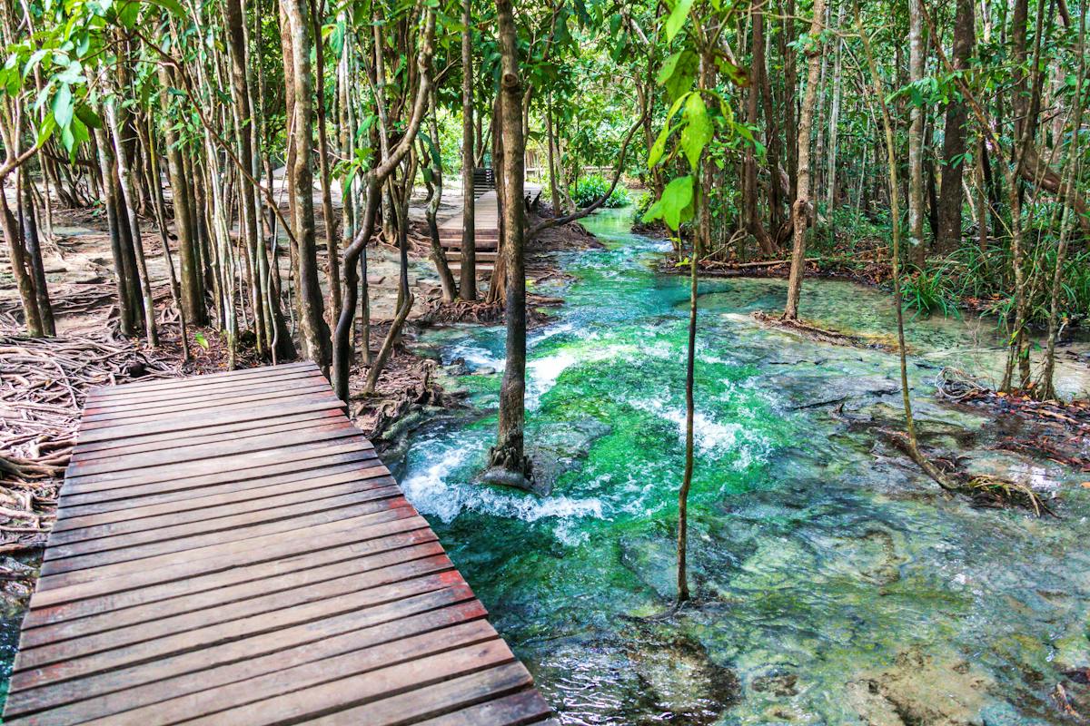 Hot Springs & Emerald Pool Tour