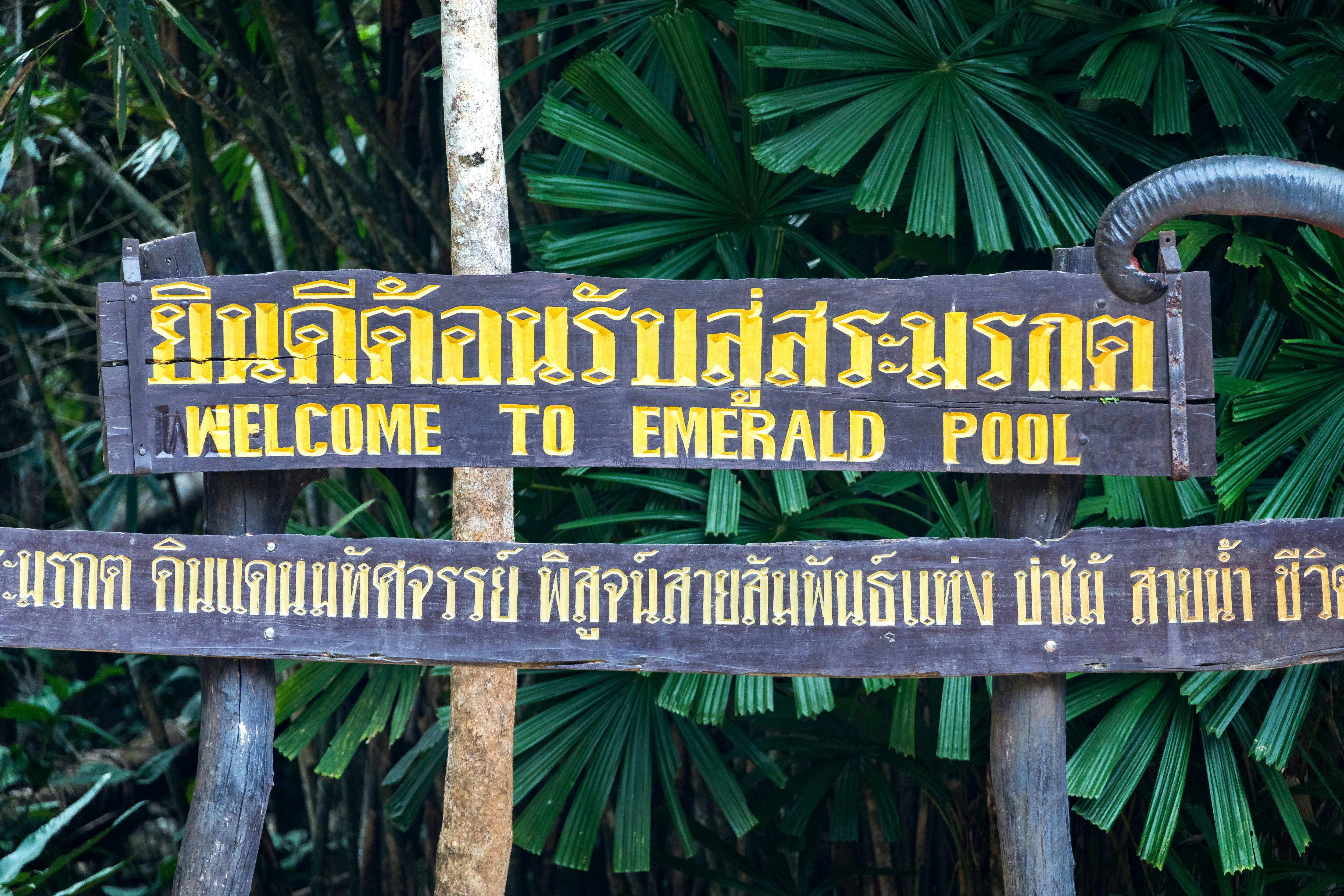 Sa Morakot Hot Springs & Emerald Pool Tour