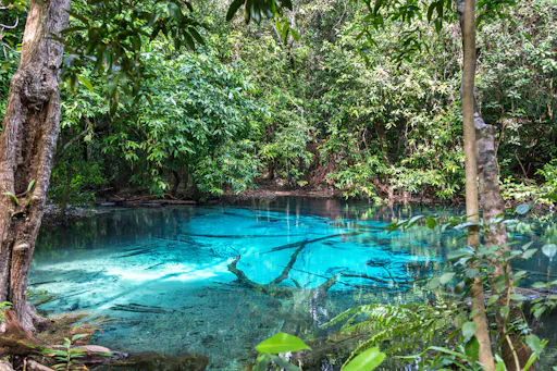 Sa Morakot Hot Springs & Emerald Pool Tour