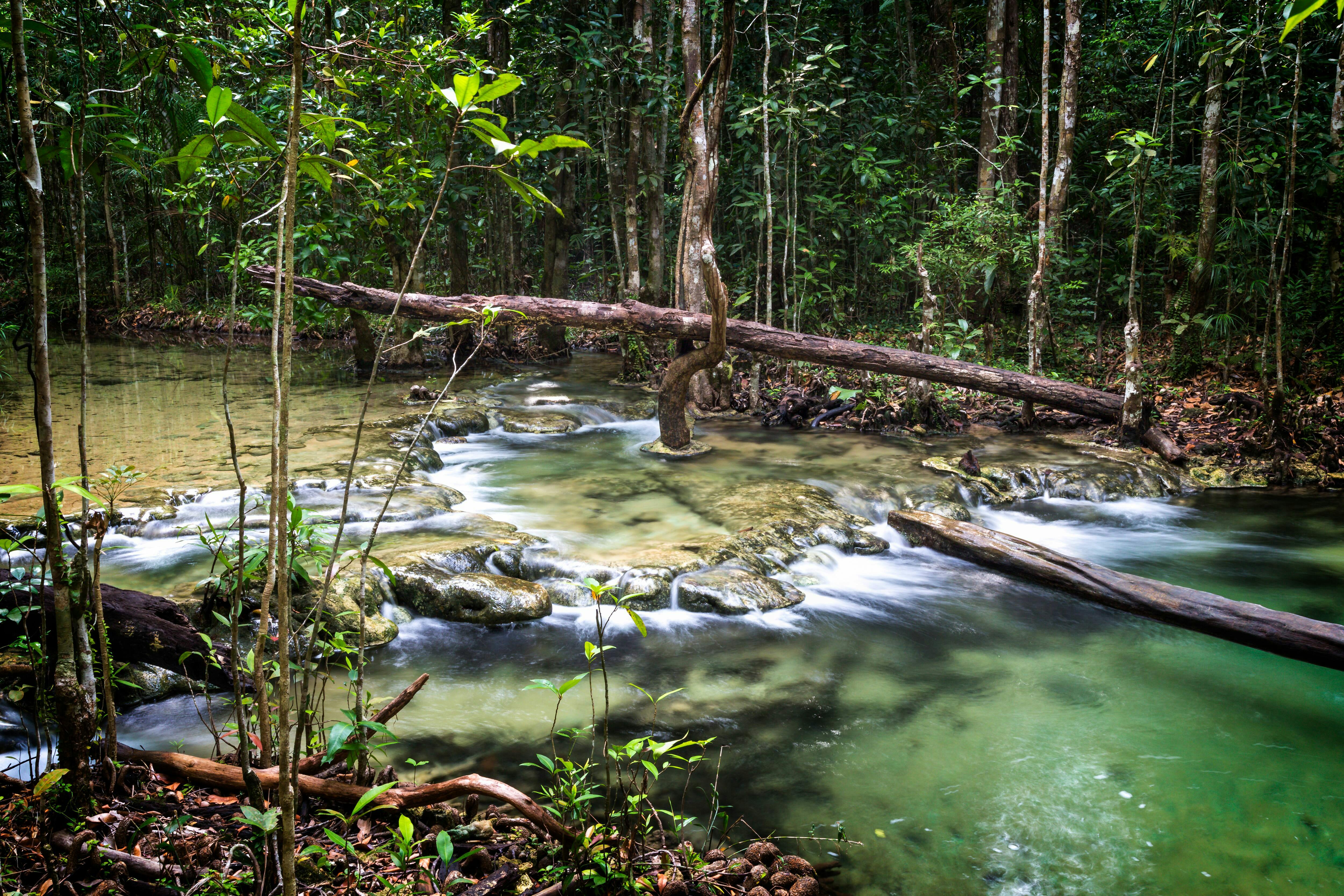 Sa Morakot Hot Springs & Emerald Pool Tour