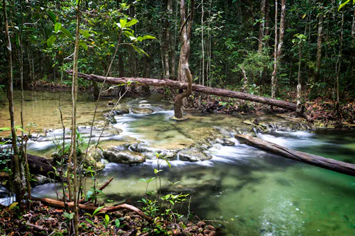 Sa Morakot Hot Springs & Emerald Pool Tour