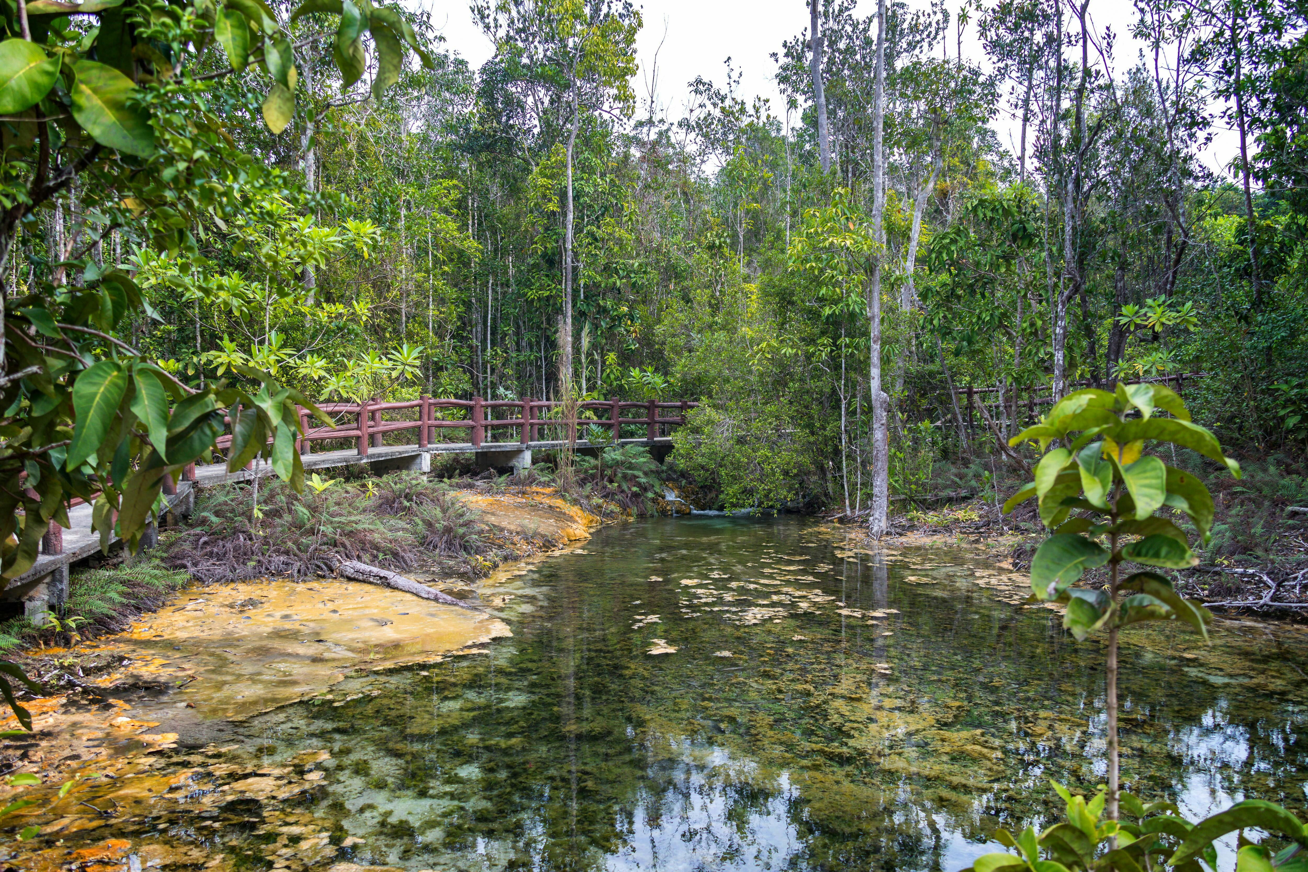 Sa Morakot Hot Springs & Emerald Pool Tour