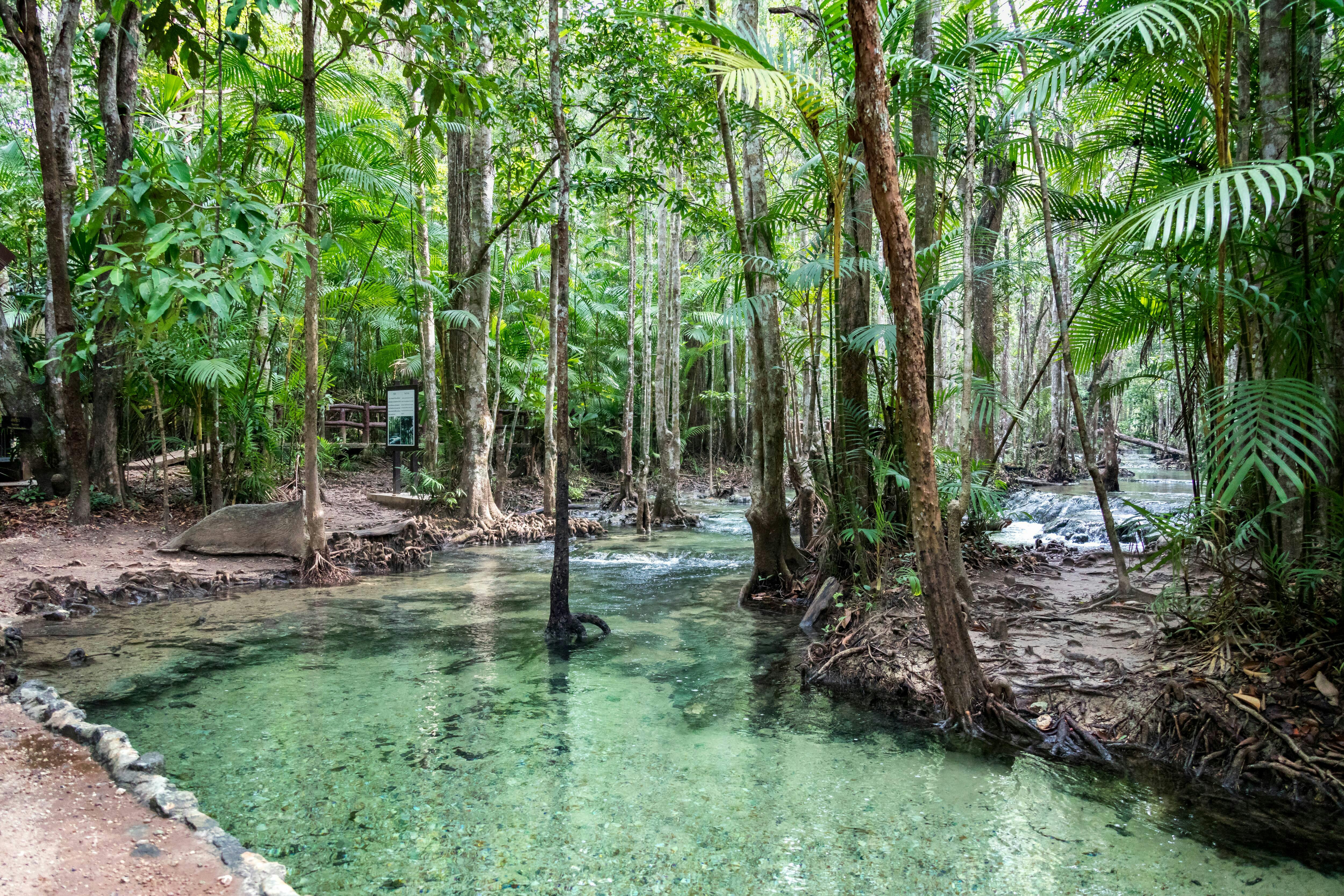 Sa Morakot Hot Springs & Emerald Pool Tour