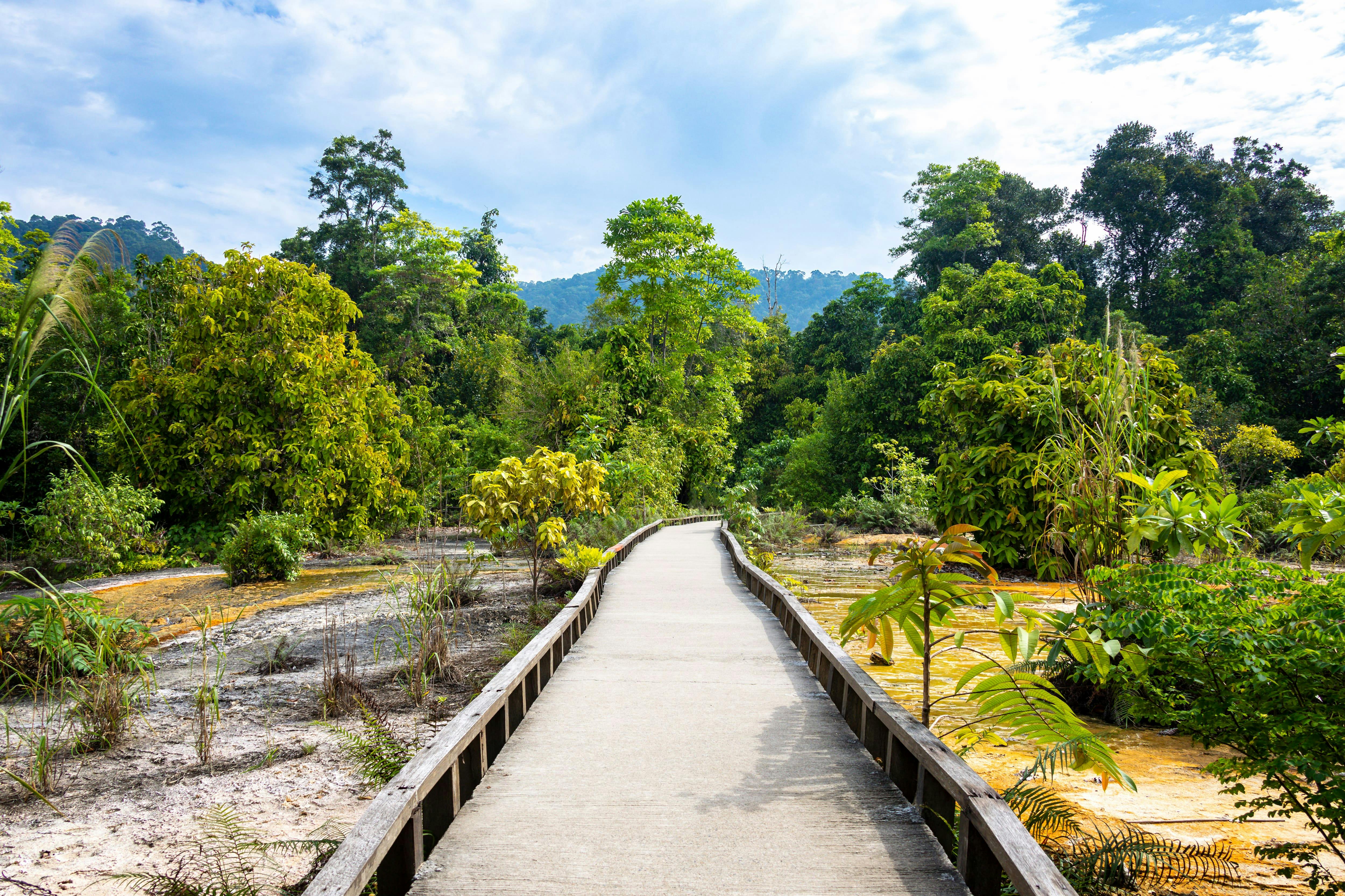 Sa Morakot Hot Springs & Emerald Pool Tour