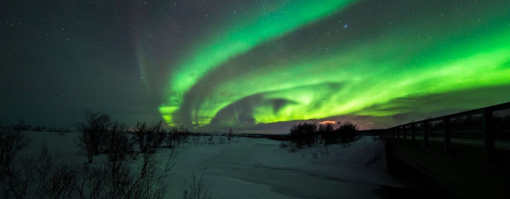 Aurora boreal caçada de carro