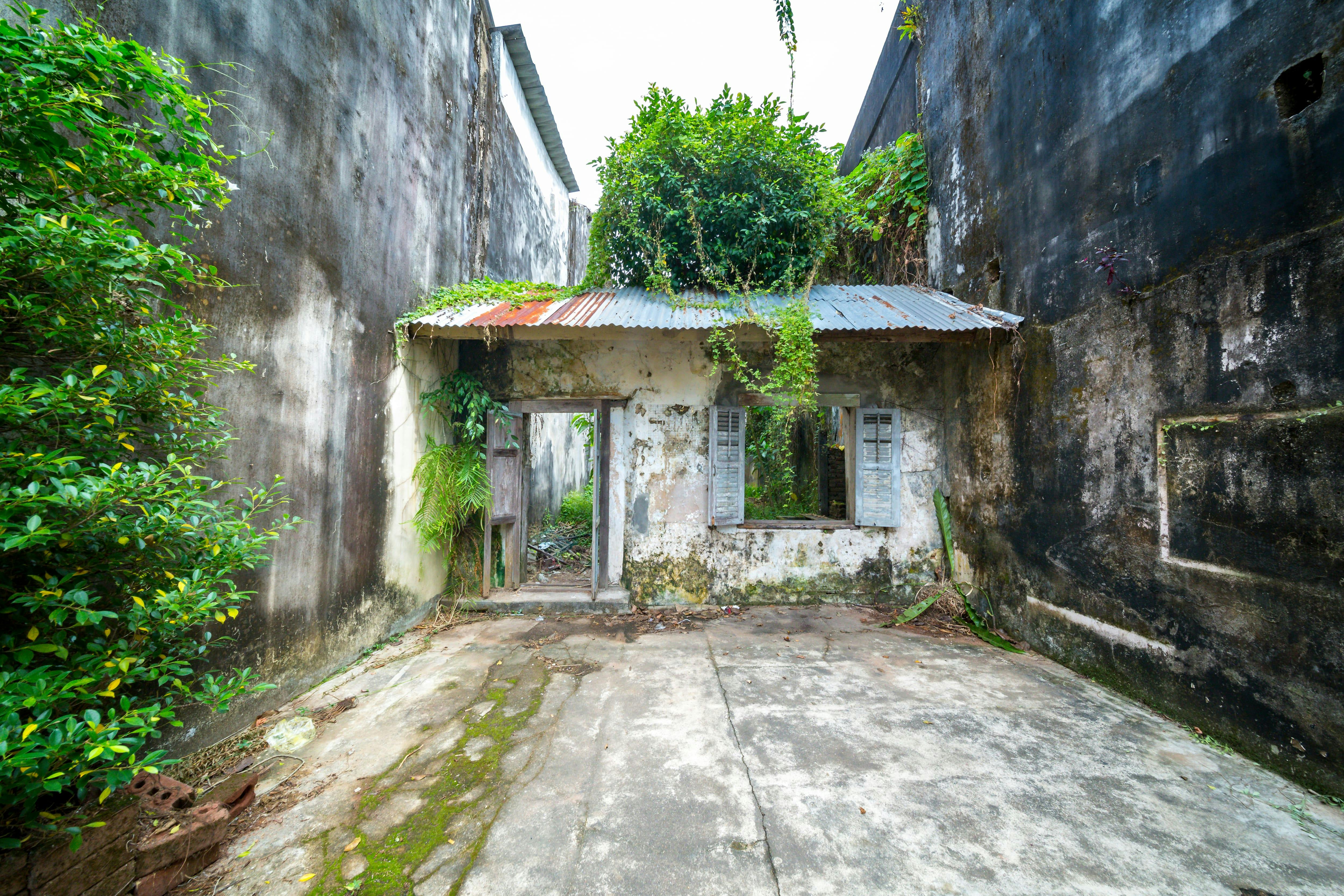 Local Life Experience (Takua Pa)