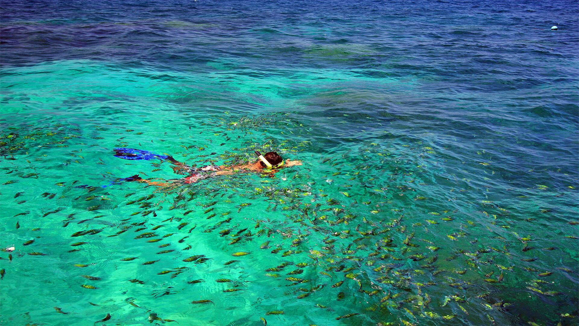 Visite des îles Phi Phi en hors-bord