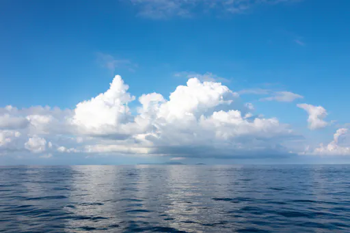 Similan Islands Tour by Speedboat from Khao Lak