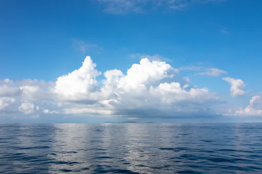 Similan Islands Tour by Speedboat from Khao Lak