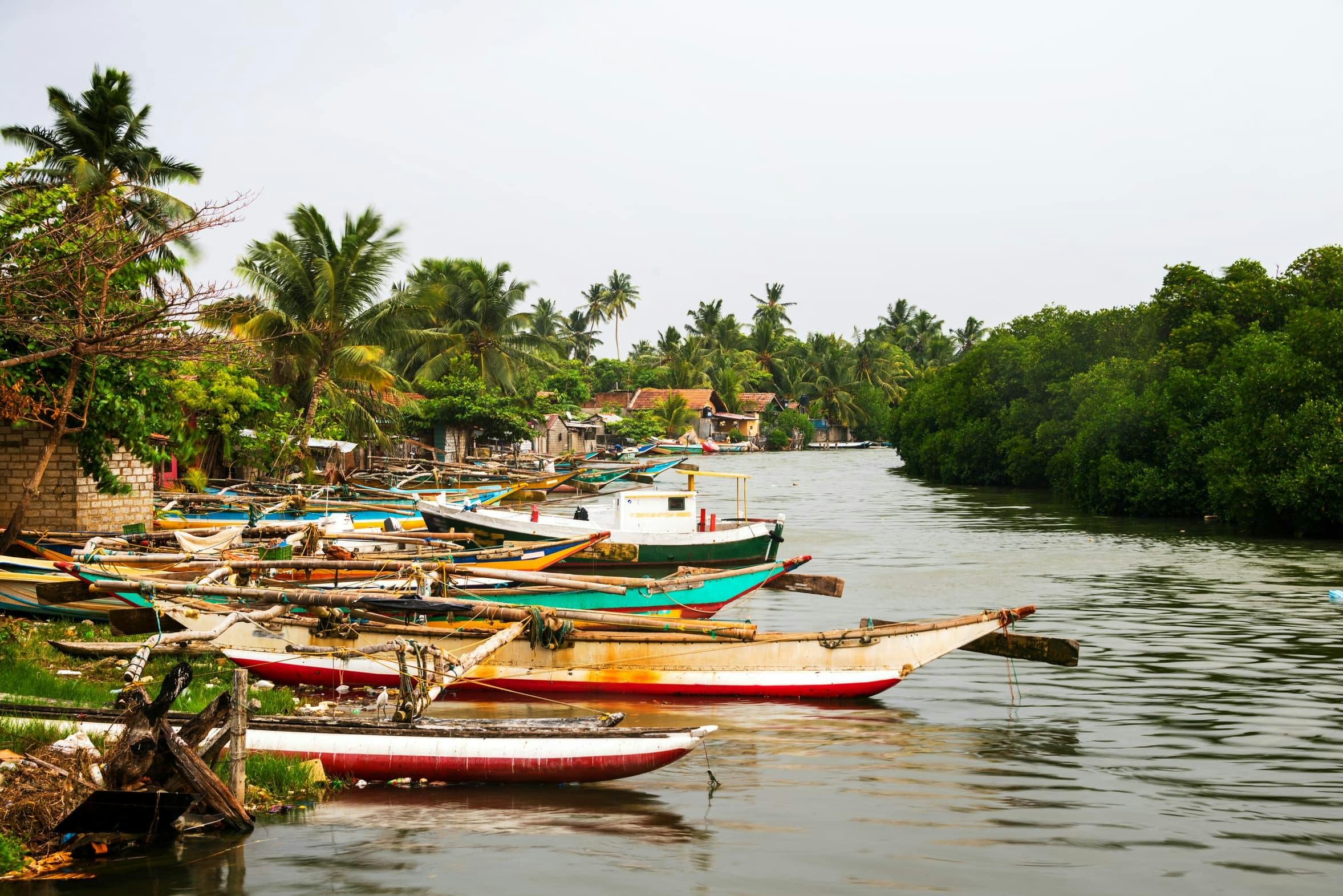 Negombo Dutch Canal Boat Cruise