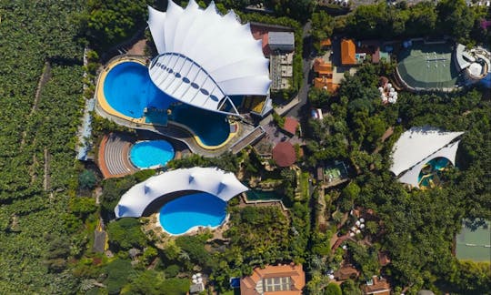 Bilet wstępu bez kolejki do Loro Parque na Teneryfie