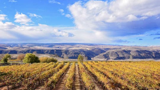 Passport to Taste 2022 in Seattle