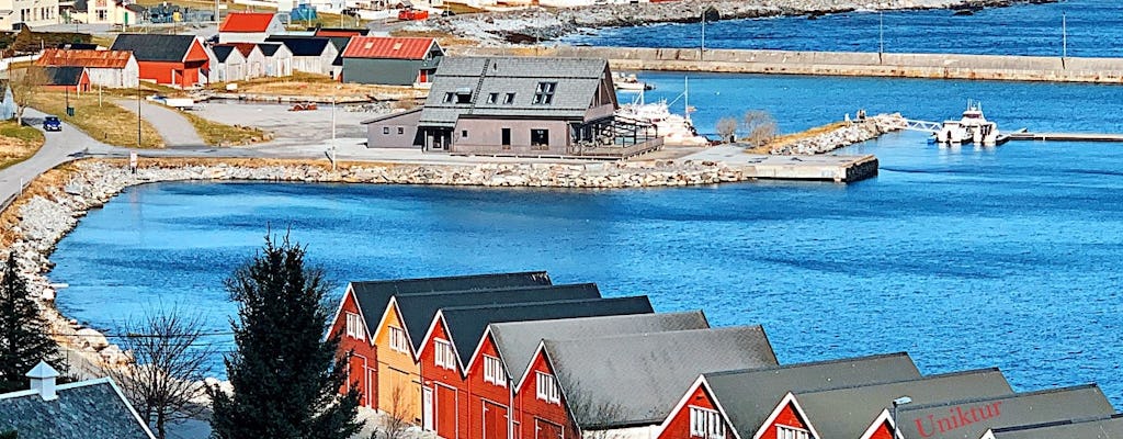 Visita guiada às ilhas Alesund e Viking com transporte