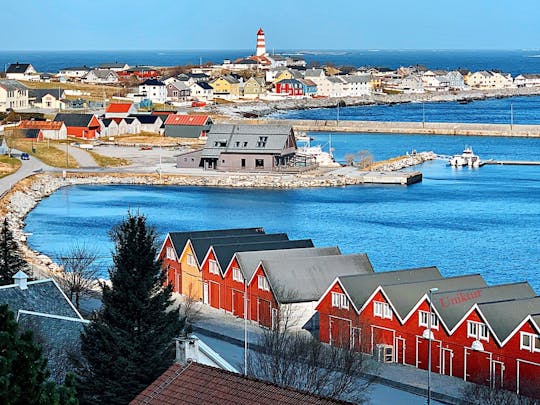 Tour guidato delle isole Alesund e Viking con trasporto