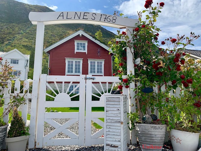 Alesund and Viking islands guided tour with transport