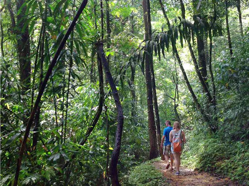Takuapa Village and River Tour by Gondola