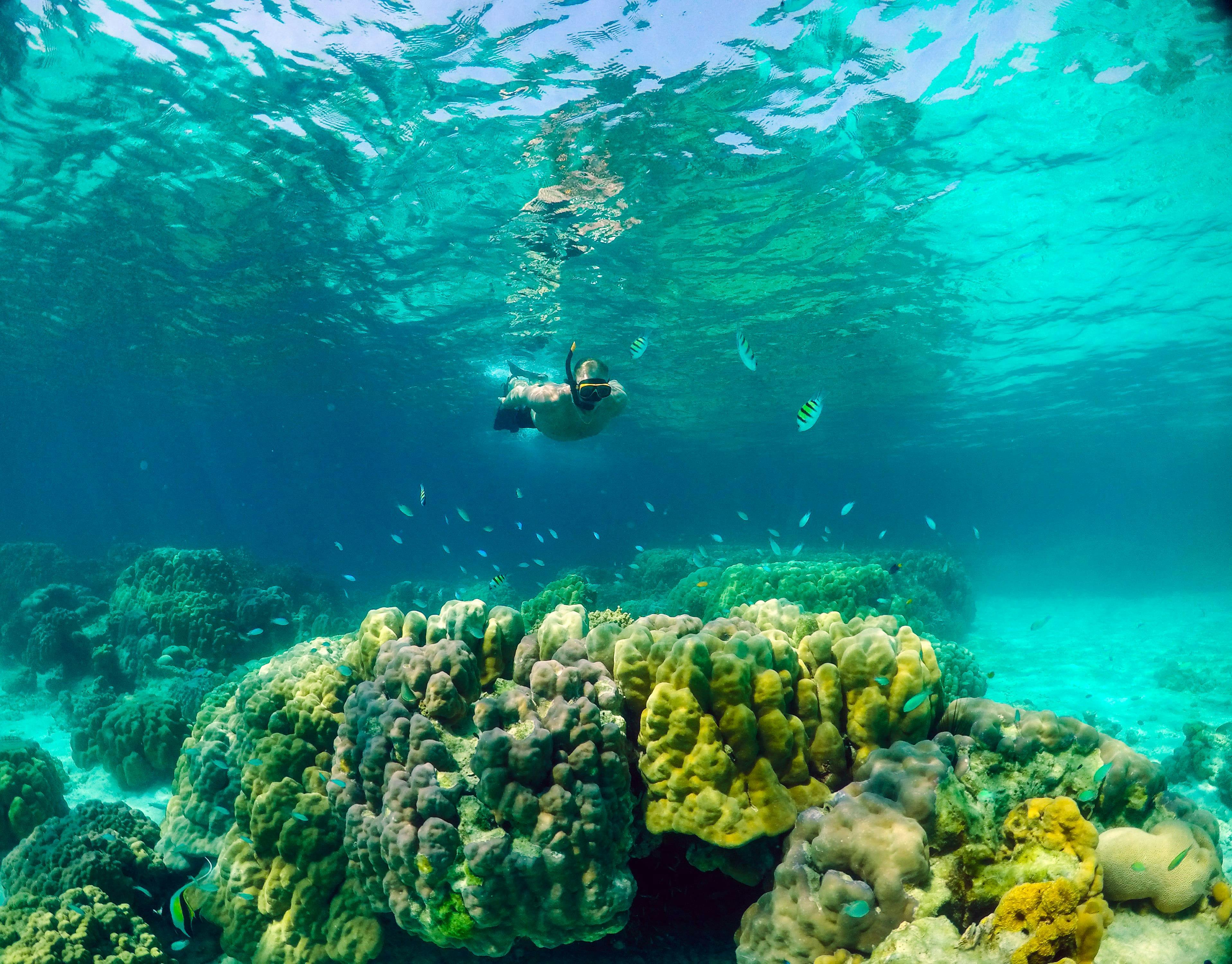 Khao Lak Snorkelling Safari