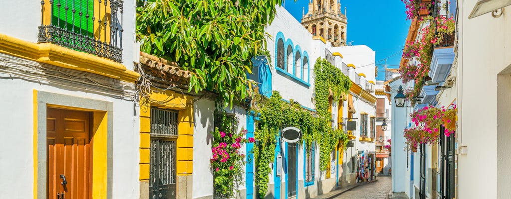 Excursão guiada de um dia inteiro em Córdoba saindo de Granada