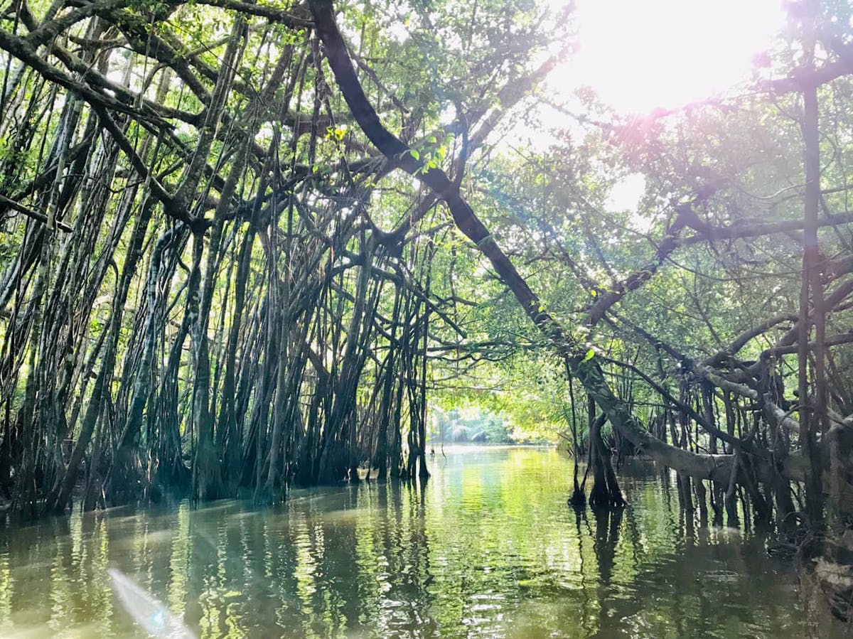 Little Amazon and Elephant Care Tour