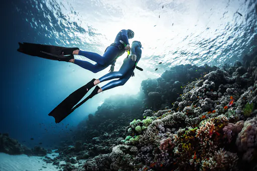 Richelieu Rock Diving Tour